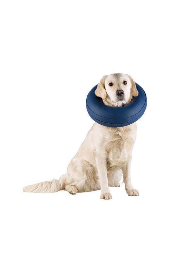 Trixie inflatable collar on sale