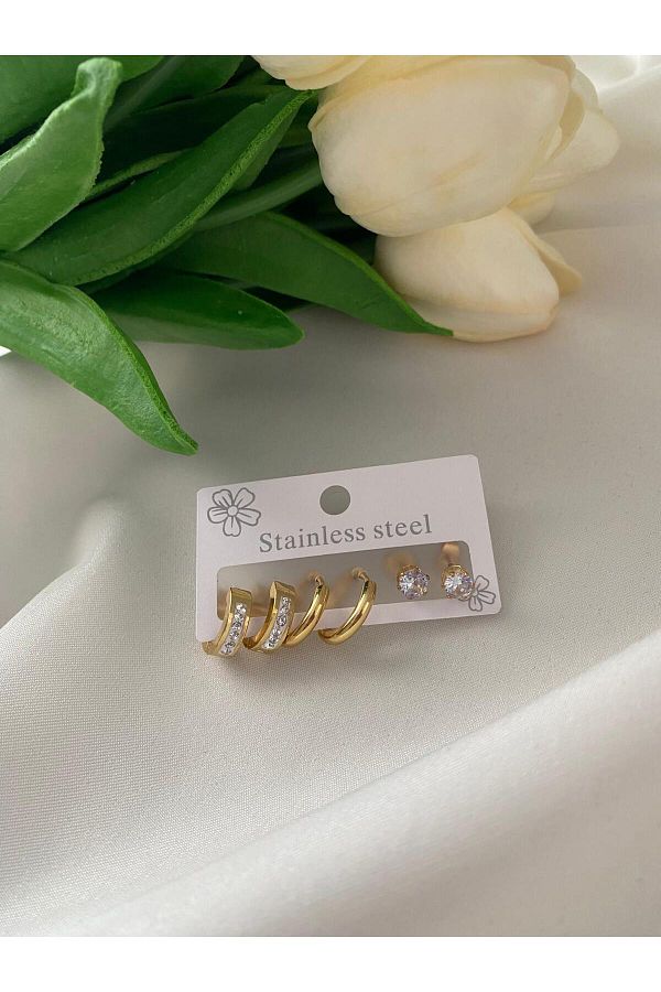 stainles steel-مجموعة أقراط دائرية من الفولاذ الذهبي 1