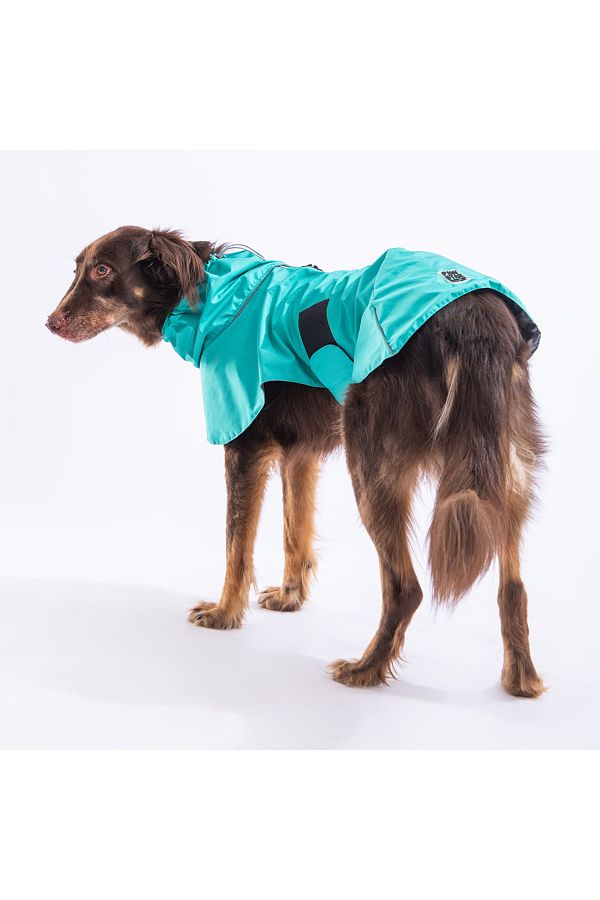 Large breed dog dresses shop