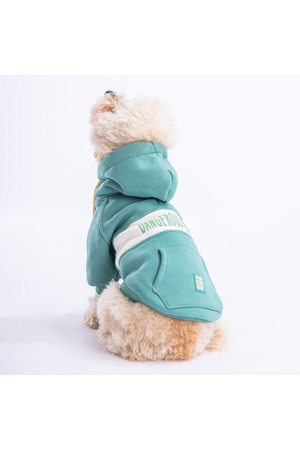 Pawstar Green Cute Dog Hoodie Dog Sweat Dog Outfit Cat Outfit Trendyol