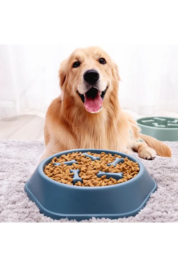 Choice Pet Dog Bowl Dog Slow Feeder Bowl Puppy Cat Slow Eating Dish Bowl Anti Gulping Food Plate Feeding. Trendyol