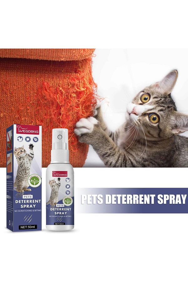 Natural anti scratch spray for cats shop