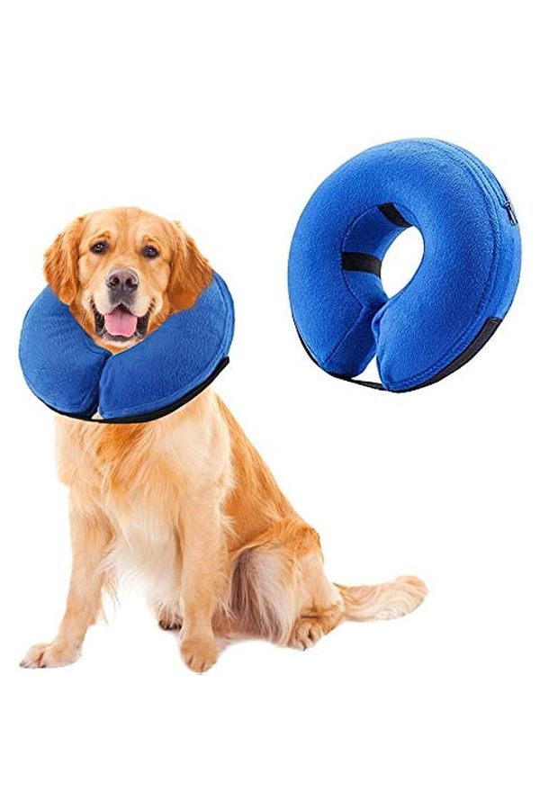 Soft surgery collar for dogs new arrivals