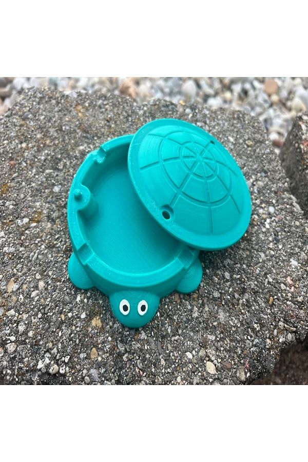 Tiny turtle sandbox clearance