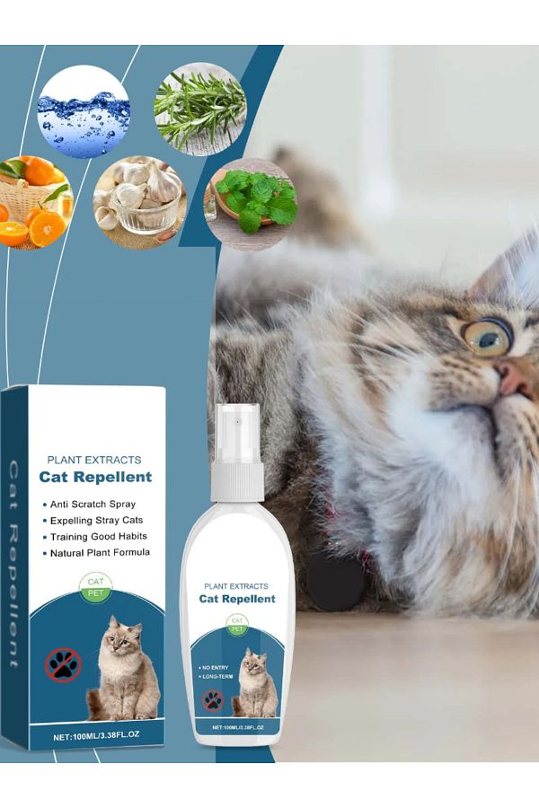 Choice 100ml Cat Deterrent Spray Indoor Cat Scratch Deterrent Training Aid Cat Indoor For Cat And For. Trendyol