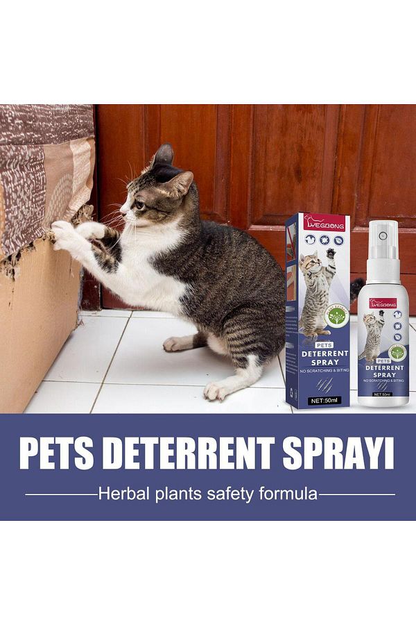 Choice Deterrents Spray Natural Scratching Cats Anti Scratch Spray No Stimulation Orange Fragrance Porta. Trendyol