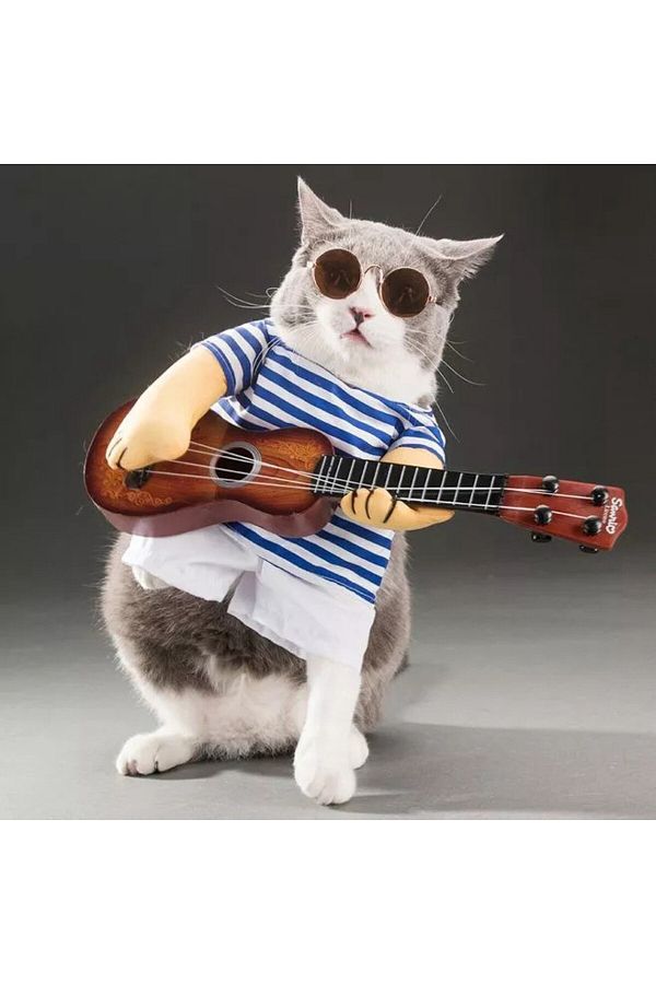 Cat with guitar costume clearance