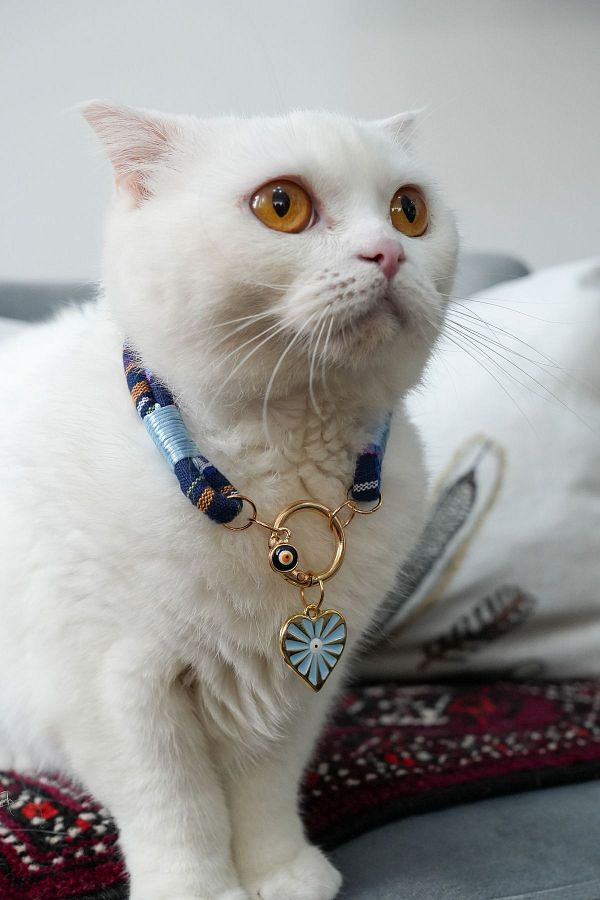 Dora Heart Charm Charmed Cat Dog Collar Necklace Petdora Non Tarnish Steel Handmade Trendyol