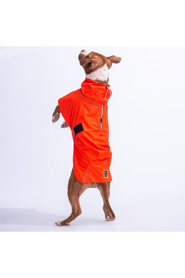 Large breed dog dresses shop