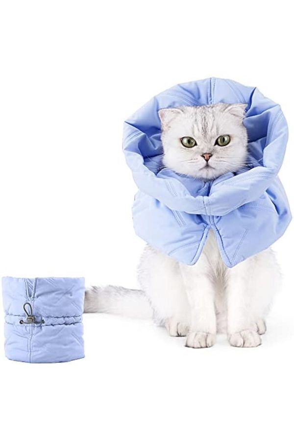 Small cat cone discount