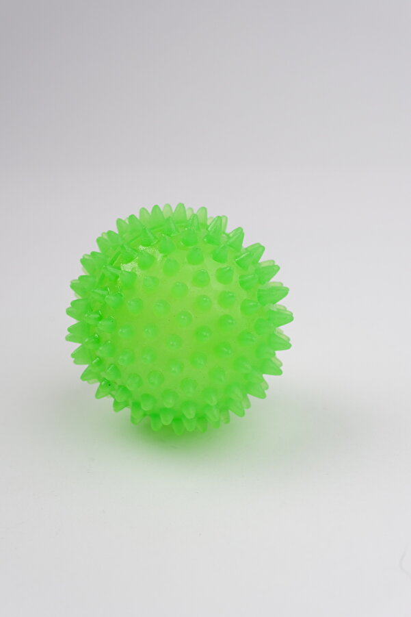 Snailtoys Rengarenk  Düdüklü Kirpi Top 6cm