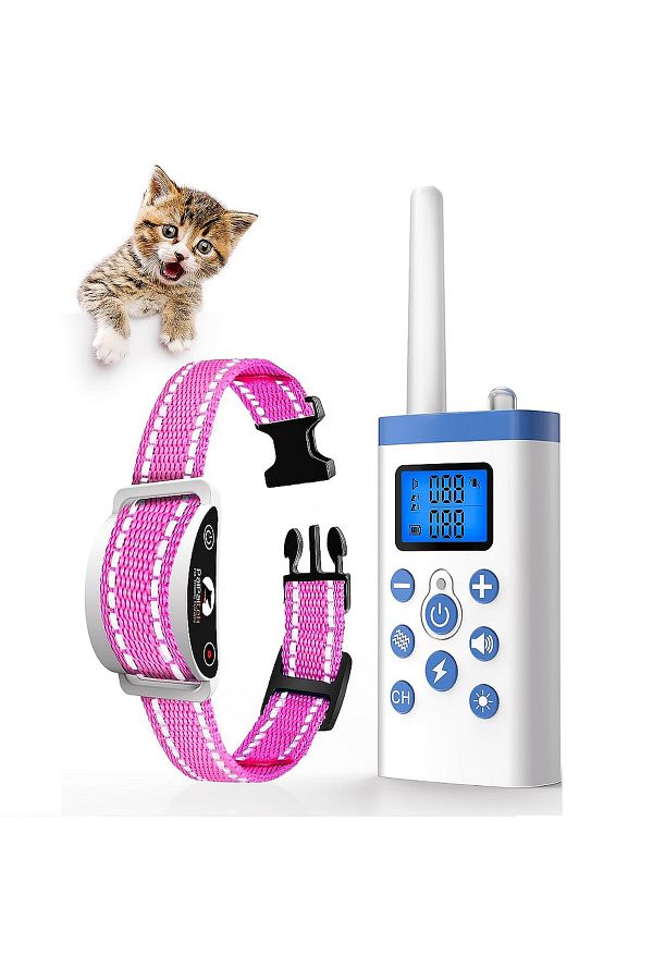 Cat training collar discount