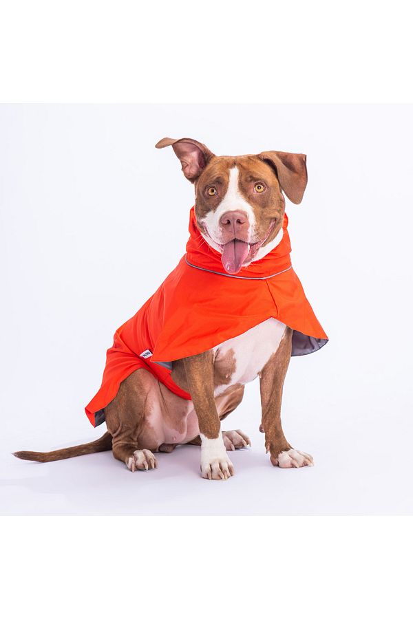 Pawstar Orange Colombia Medium And Large Breed Dog Raincoat Dog Apparel Dog Dress Trendyol
