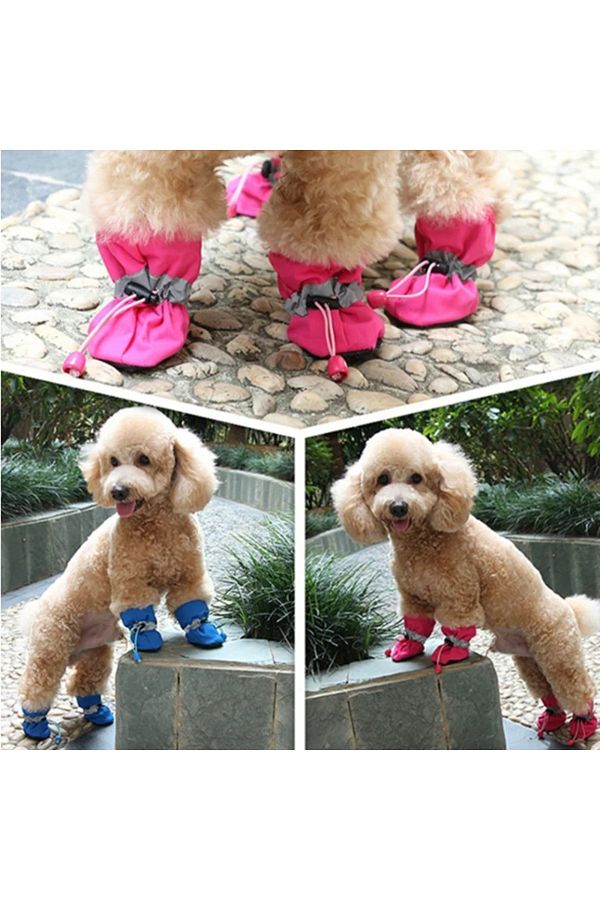 Puppy dog shoes discount