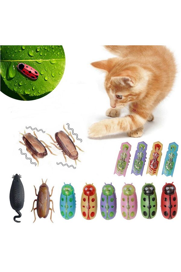Robot bug toy for cats on sale