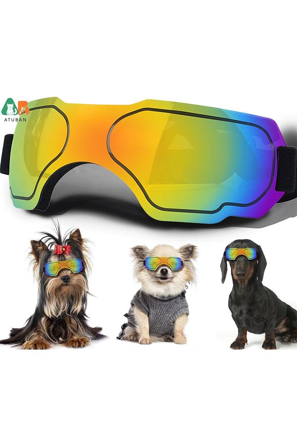 Choice Small Dog Sunglasses Dog Goggles with Adjustable Strap UV Protection Winproof Dog Puppy Sunglasse. Trendyol