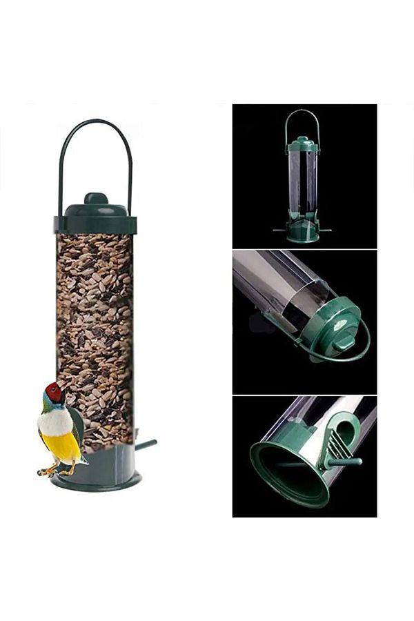 Parrot food dispenser online