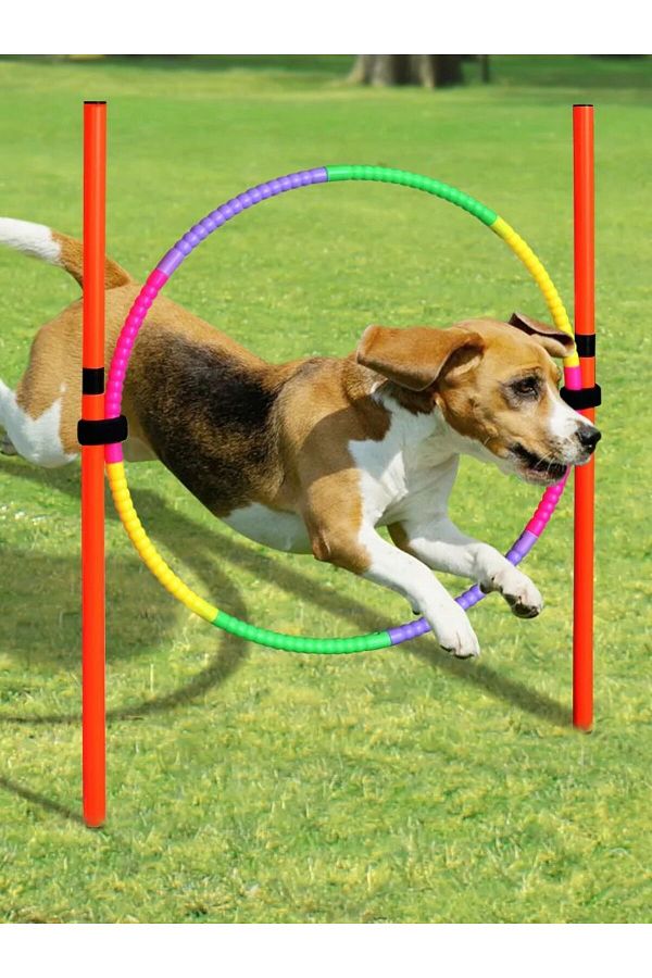 Choice Dog Agility Training Equipment Portable Dog Jumping Tool Outdoor Dogs Running Stake Sports Stakes. Trendyol
