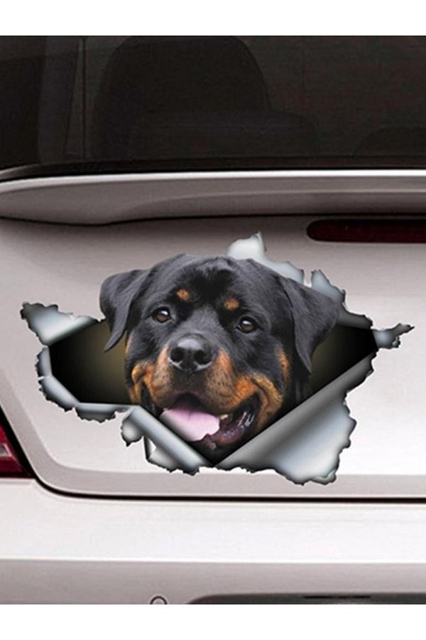 Rottweiler bumper stickers cheap