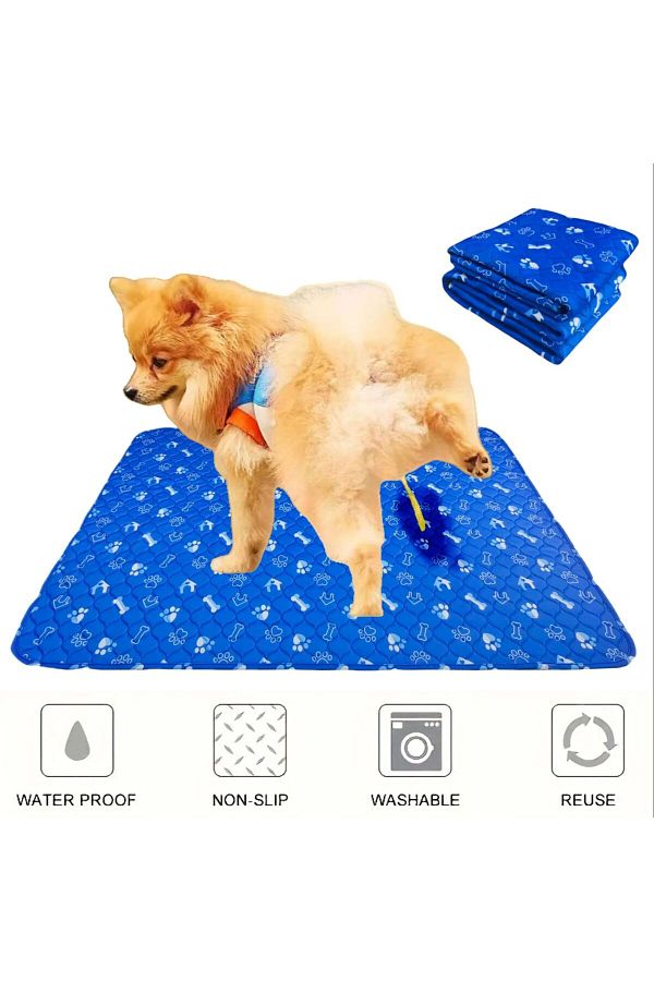 Puppy sleeping on pee pad outlet