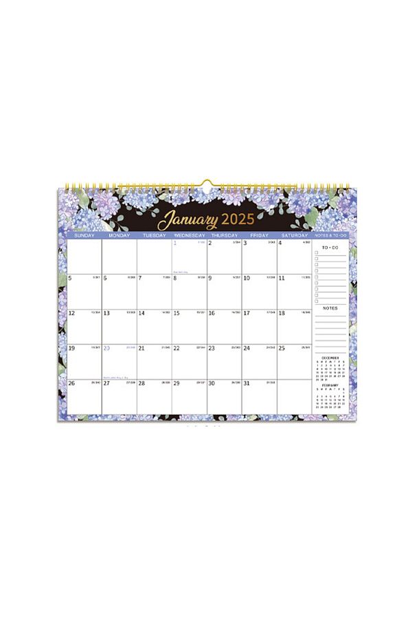 Choice 20252026 Calendar Wall Calendar Large Block 18 Month 2025