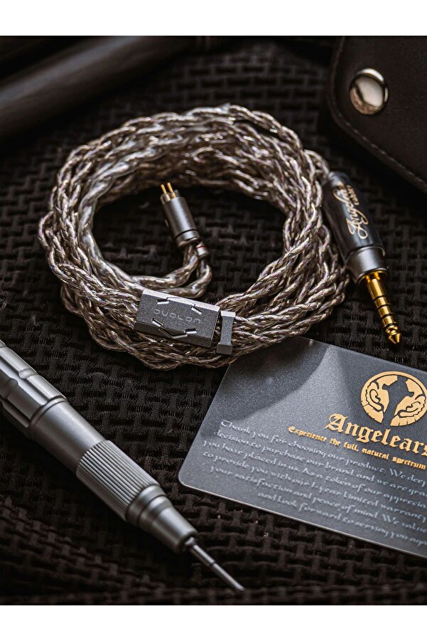 定価10万 plussound gold silver Type 6Litz PLUSSOUND Silver Plated