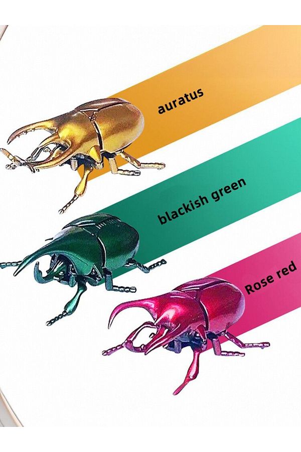 Choice Wind Up Toys Wind up Beetle Toys Simulated Realistic Plastic Beetle Wind Up Animal Party Favo. Trendyol