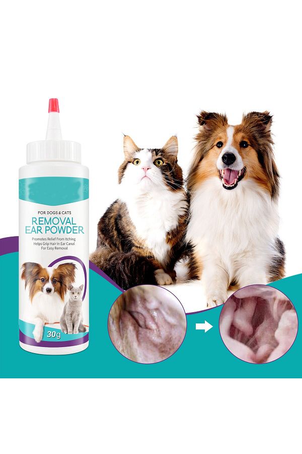 Powder to remove dog ear hair shop