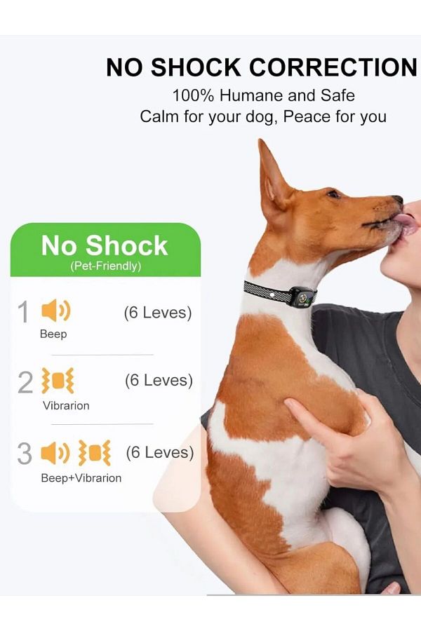 Shockless bark collar cheap