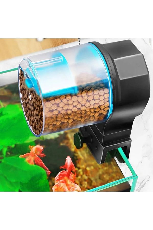 Goldfish auto feeder shop