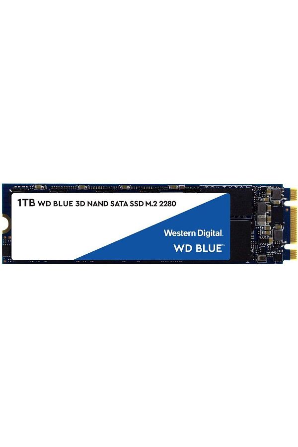 Wd blue 3d nand sata ssd 2tb on sale