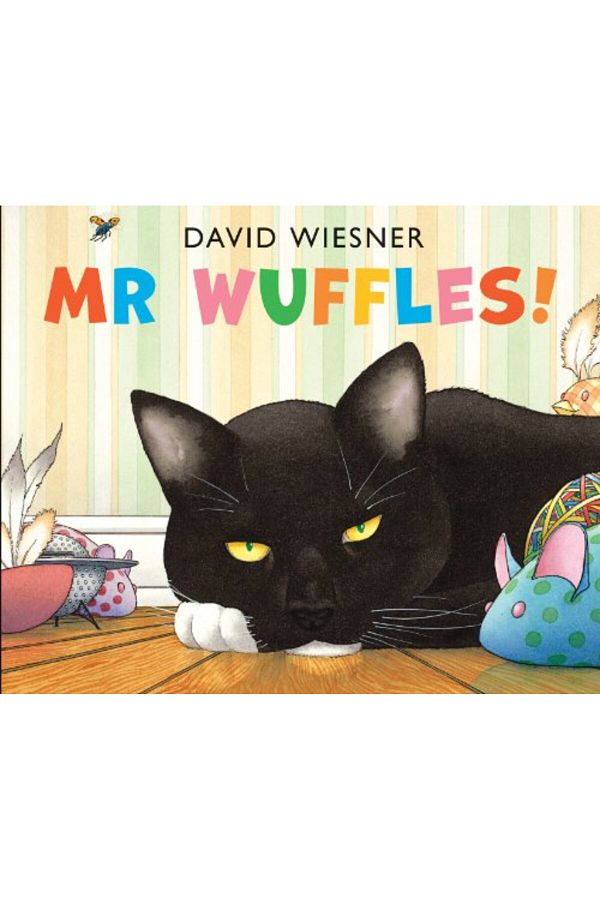 Andersen Press Ltd-Mr Wuffles! 1