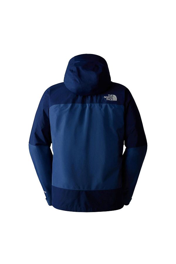 The north face feather jacket shop