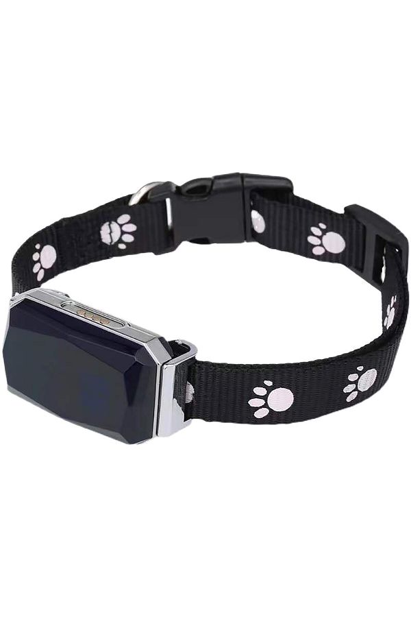 Wifi dog collar on sale