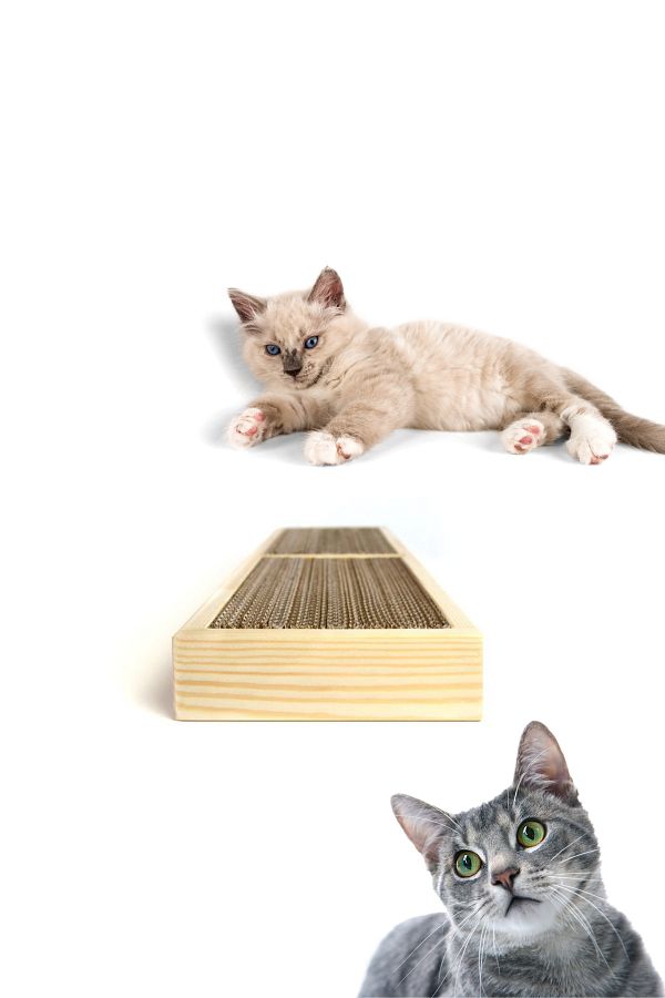 Alyones-Replenishable Suppliable Scratching Post, Scratch Board, Cat Scratching Toy 1
