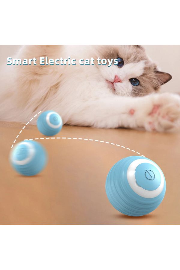 Interactive ball for cats online