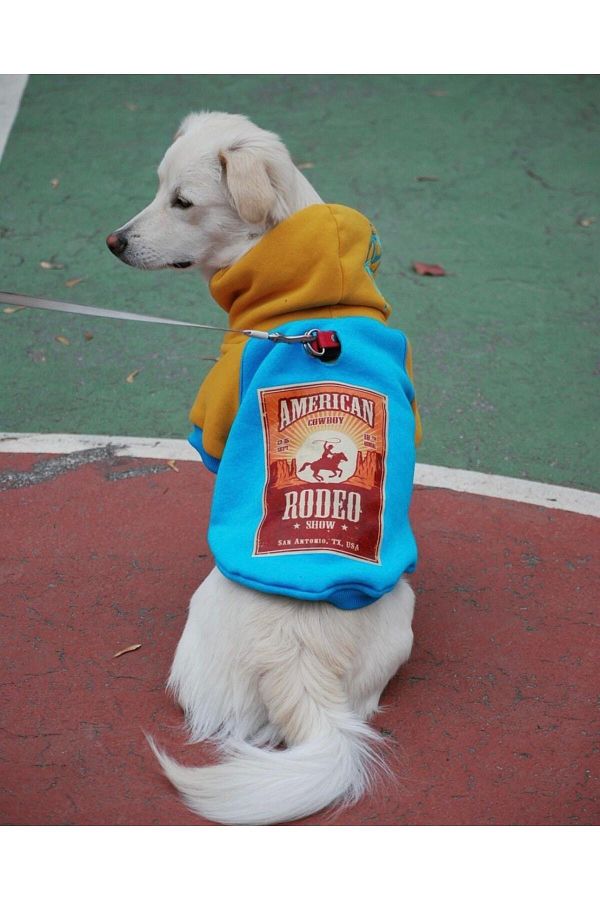 Vintage dog clothes online