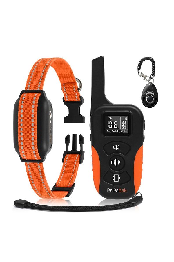 Buzz collar for dog training shop