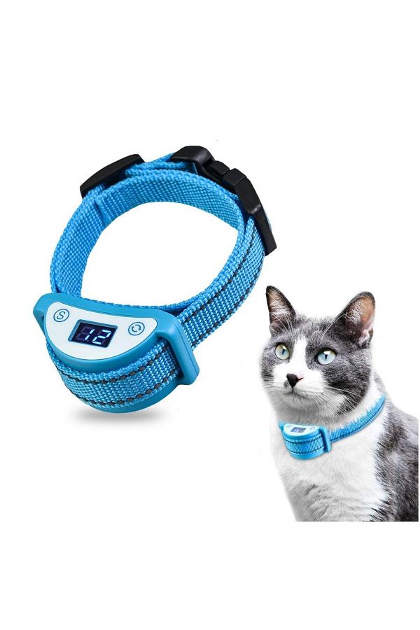 Zap collar for cats top