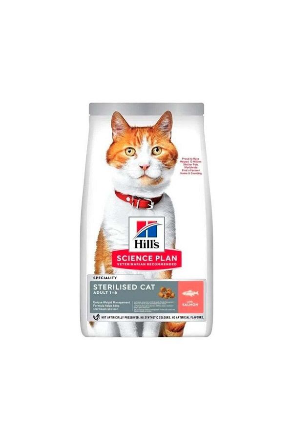 Neutered cat hills shop