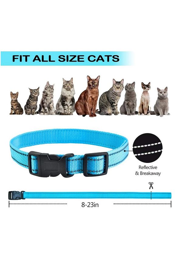 Zap collar for cats on sale