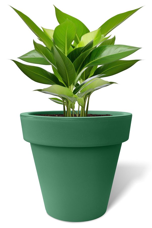 ToXA-50 Liter Green Matte Plastic Flower Pot - Large Size, Without Plate and Drainage 1