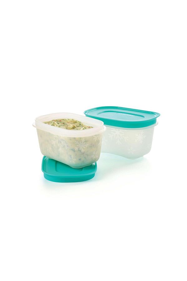 Tupperware-Alaska 170 ml Turquoise Freezer Storage Set - 2-Piece Container 1