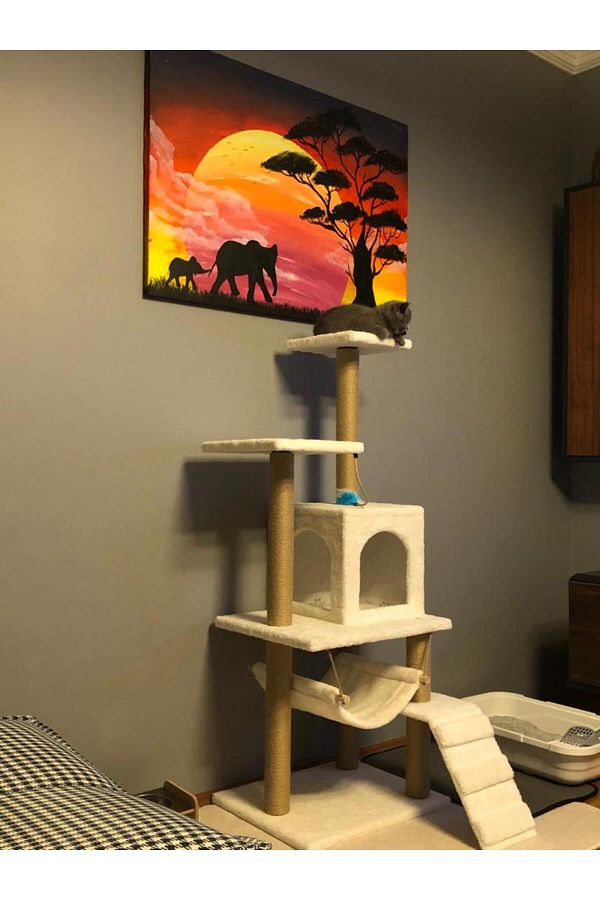 pethomealpi-Luxury Cat Scratching and Play Platform - with Hammock and Nest 1