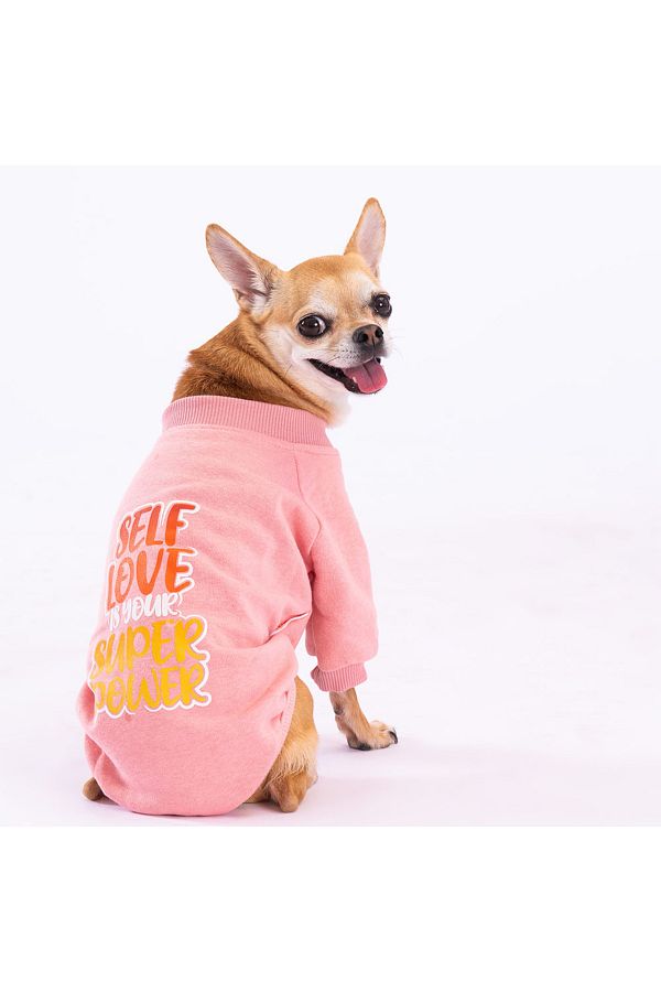 Battery operated dog jacket online