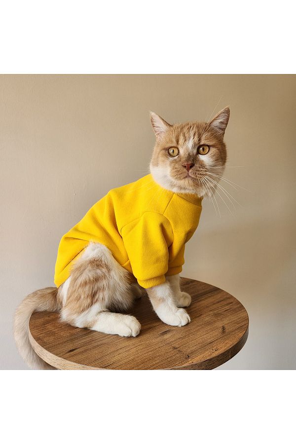 TUĞBA BUTİKS-New Season Tuğba Fashion Sweat - Size m Is Suitable for 2-4 kg 1