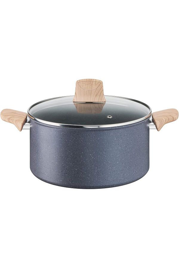 TEFAL-وعاء الطبخ |   قوة طبيعية 24 كاسيرول 1