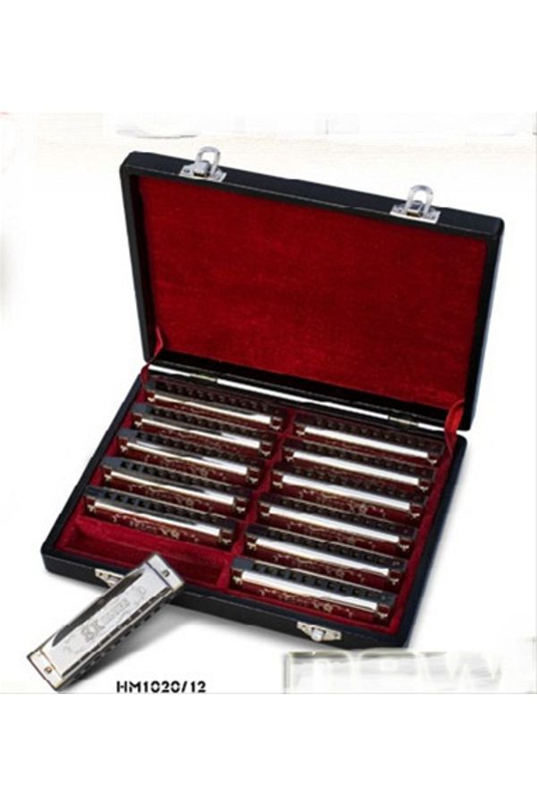 VALENCIA 12 Harmonica Set Trendyol