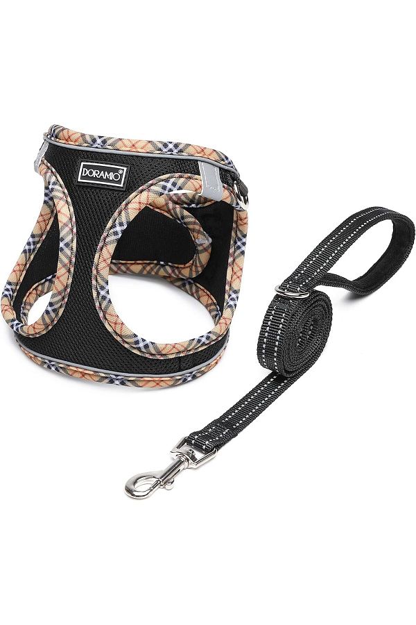 DORAMIO-Small Dog Collar for Puppy, Reflective, Breathable and Soft Padding 1