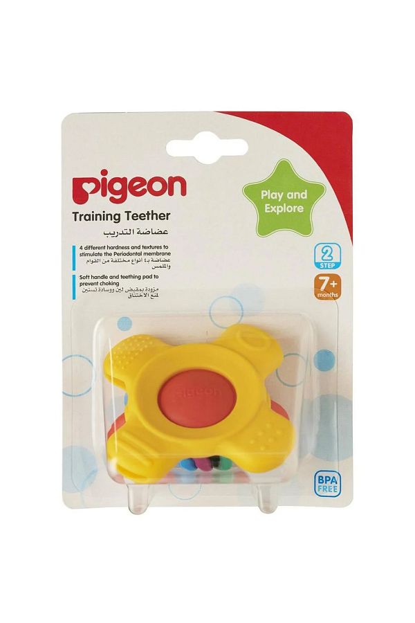 Pigeon-BPA-Free Training Teether Step 2, 7+ Months, Multicolour 1